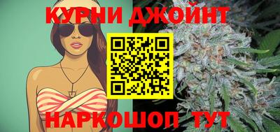 прущие крисы Новозыбков