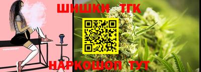крисы Новокубанск