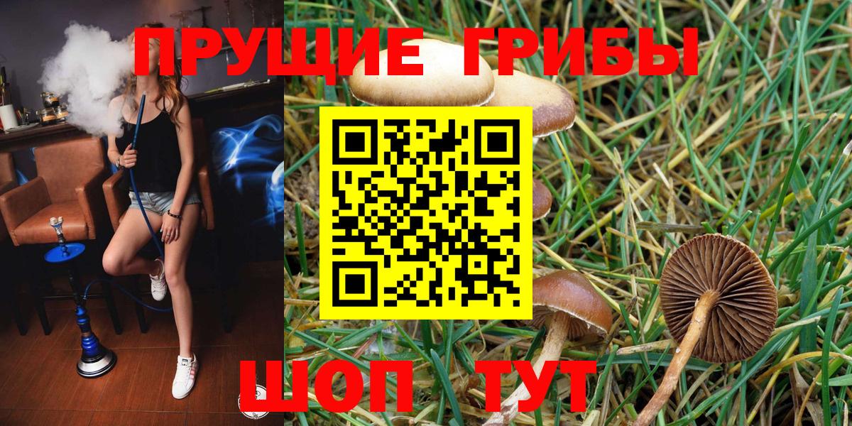 Псилоцибиновые грибы прущие грибы Фролово