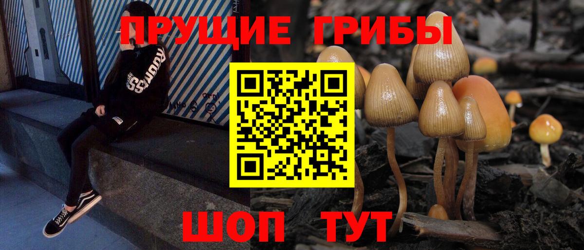 Фролово  Галлюциногенные грибы Psilocybine cubensis  Псилоцибиновые грибы мицелий  Вход с VPN 